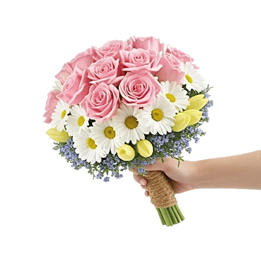 Blushing Rose Symphony