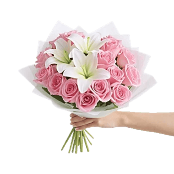 Blushing Rose Symphony