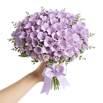 Petal Grace Harmony