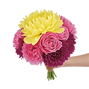 Peony Petal Harmony