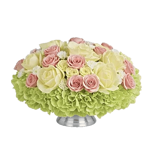 Ivory Blossom Radiance