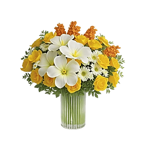 Petal Radiance Bliss