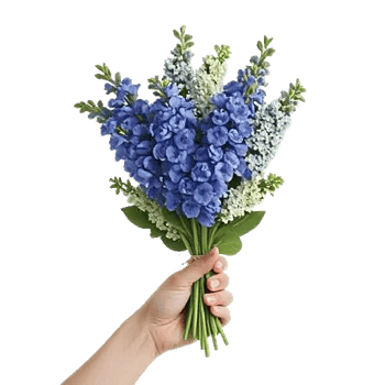 Lavender Bloom Grace