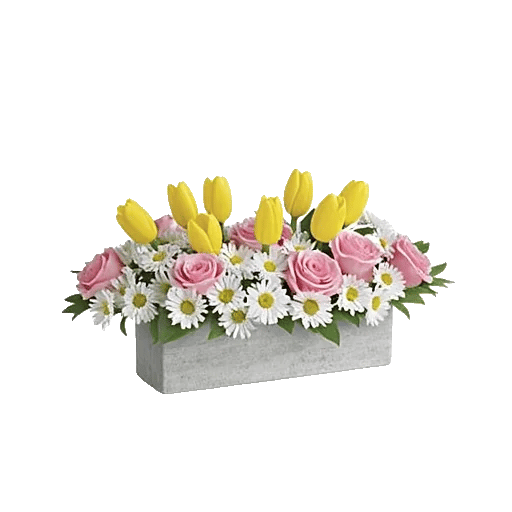 Velvet Tulip Display