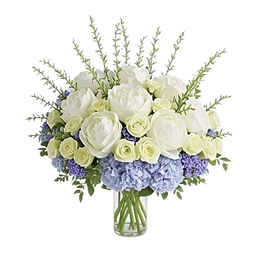 Ivory Blossom Radiance