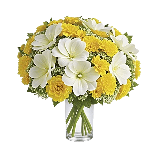 Ivory Blossom Radiance