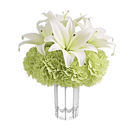 Ivory Blossom Radiance