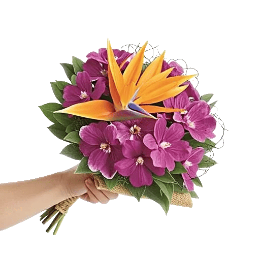 Orchid Petal Glow