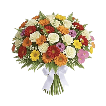 Vibrant Orange Delight