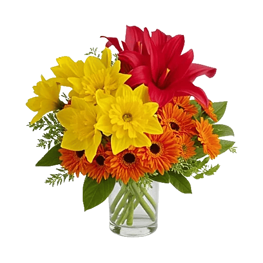 Petal Radiance Bliss