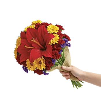 Crimson Blossom Harmony