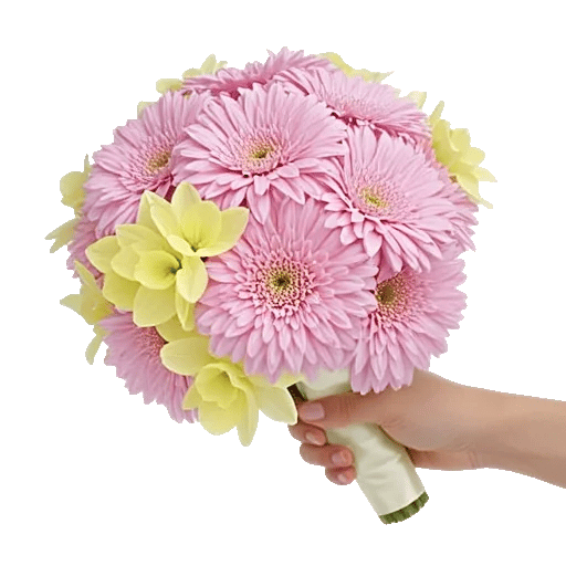 Blushing Rose Symphony
