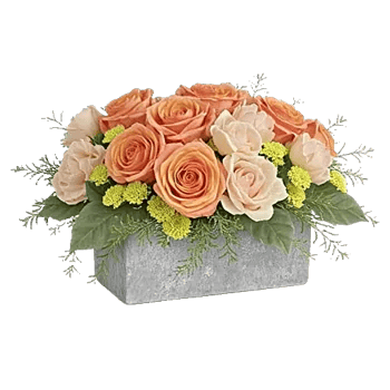 Delicate Petal Cascade