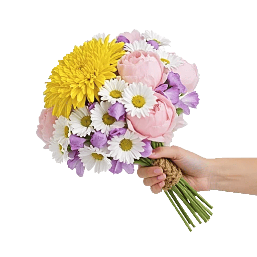 Blossom Harmony Display