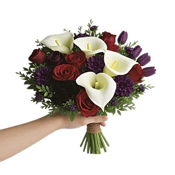 Elegant Calla Lilies
