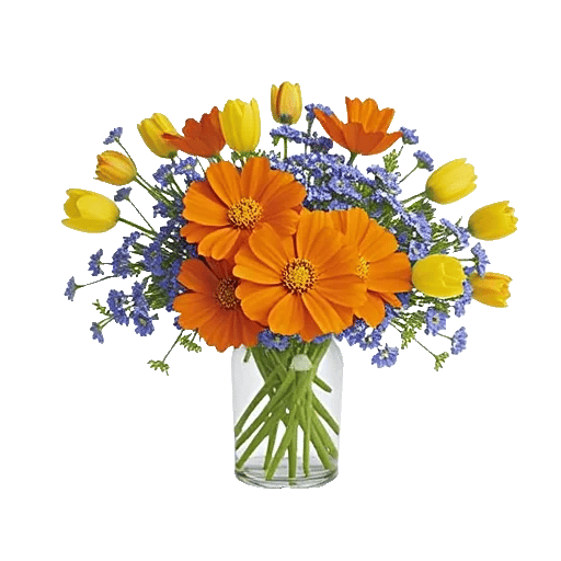 Petal Radiance Bliss