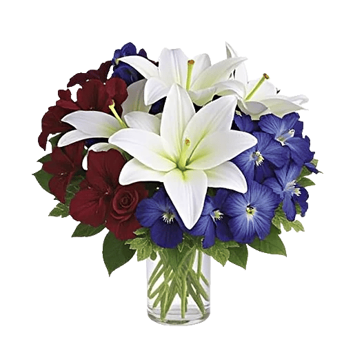 Ivory Blossom Radiance