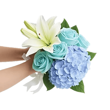 Serene Petal Harmony