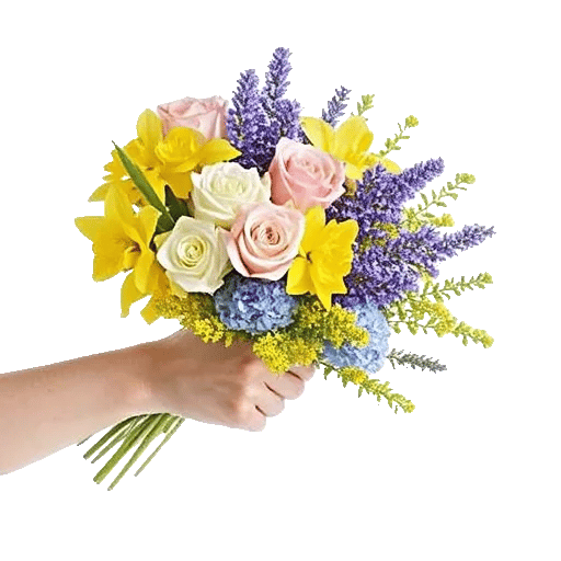 Serene Petal Harmony