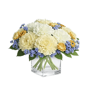 Delicate Petal Cascade