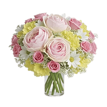 Petal Radiance Bliss