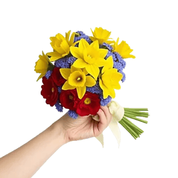 Petal Radiance Bliss