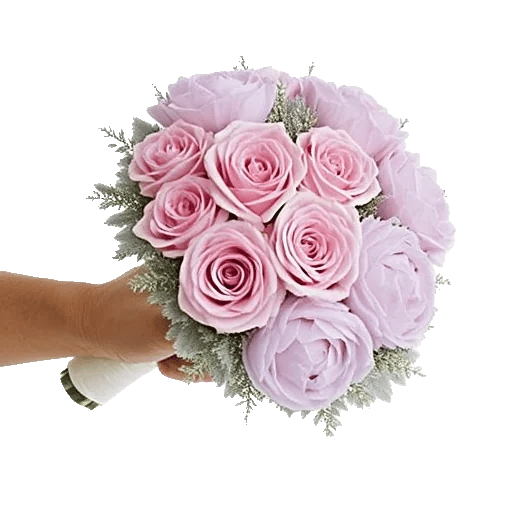 Pastel Pink Roses