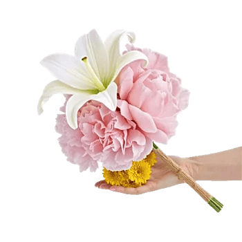Graceful Lily Display