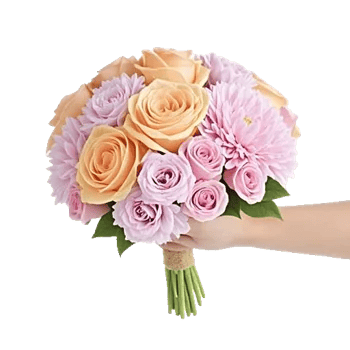 Pastel Pink Roses
