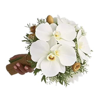 Modern White Orchids