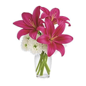 Graceful Lily Display