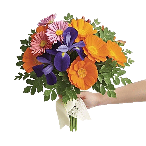 Blossom Petal Serenity