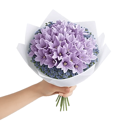 Serene Petal Harmony