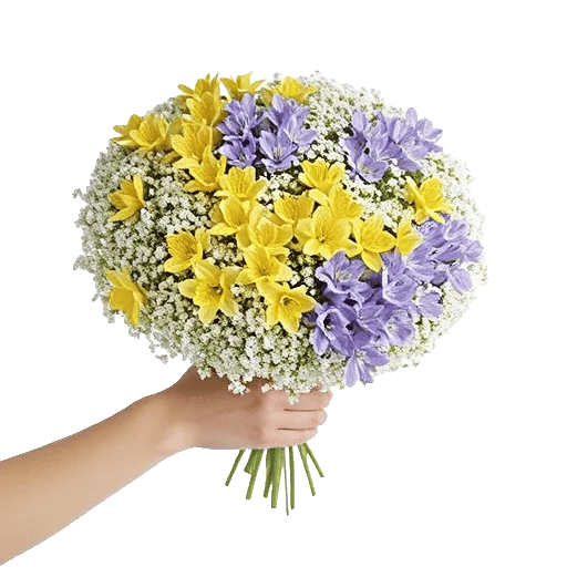 Blossom Radiant Whisper