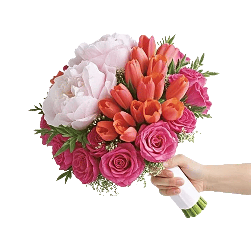 Peony Petal Harmony