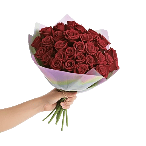 Crimson Rose Elegance