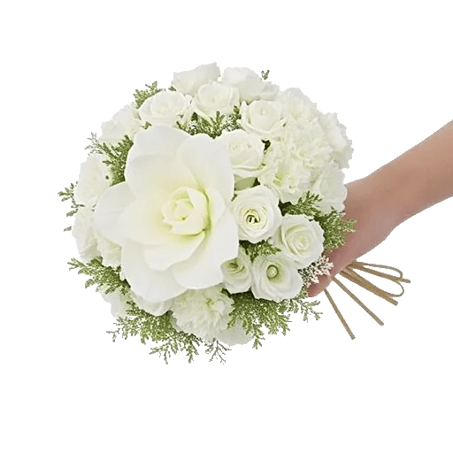 Elegant Calla Lilies