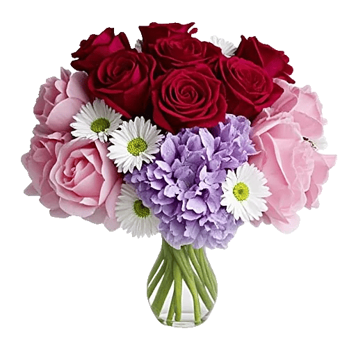 Petal Radiance Bliss