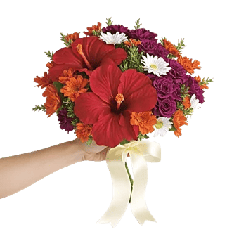 Crimson Rose Elegance