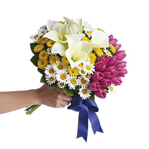 Elegant Calla Lilies