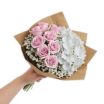 Pastel Pink Roses