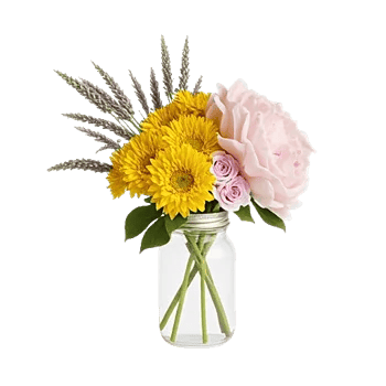 Petal Radiance Bliss