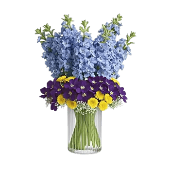 Lavender Bloom Grace