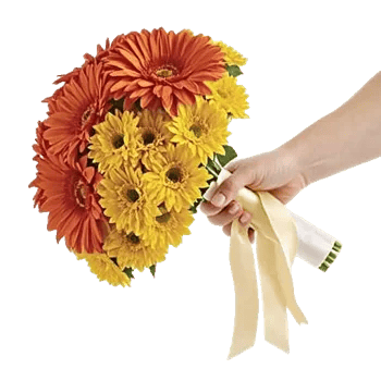 Radiant Bloom Cascade