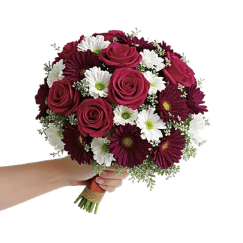 Blushing Rose Symphony