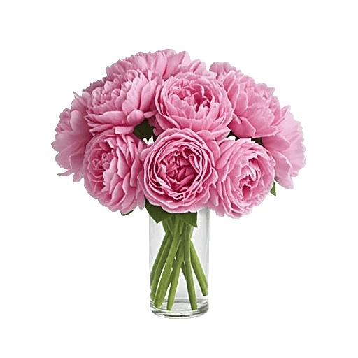 Petal Radiance Bliss