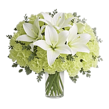 Ivory Blossom Radiance