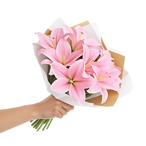 Blossom Harmony Display