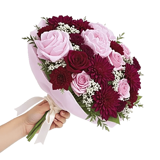 Peony Petal Harmony
