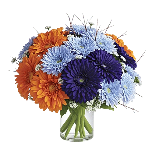 Radiant Bloom Cascade